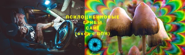 ешки Аркадак