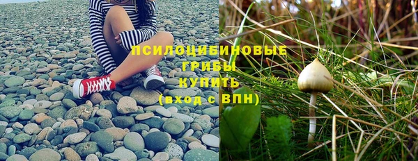 винт Арсеньев