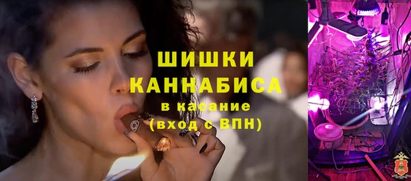 ешки Аркадак