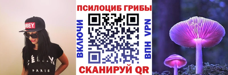 где можно купить наркотик  MEGA ссылки  Псилоцибиновые грибы мицелий  Починок 